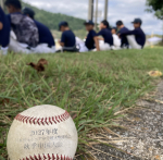 秋季大会[2026.9/12]
