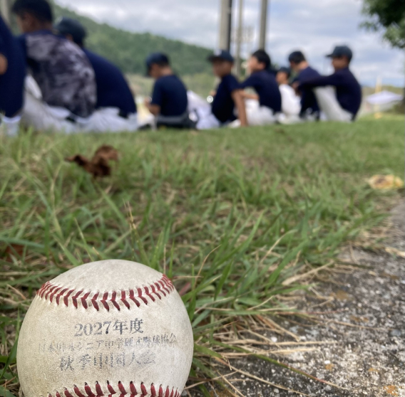 秋季大会[2026.9/12]
